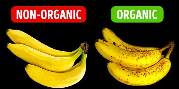 Organic v. regular bananas